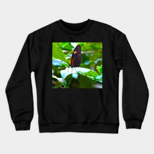 butterfly "Heliconius melpomene" Crewneck Sweatshirt
